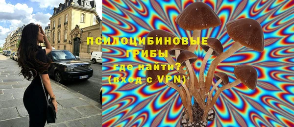 индика Армянск
