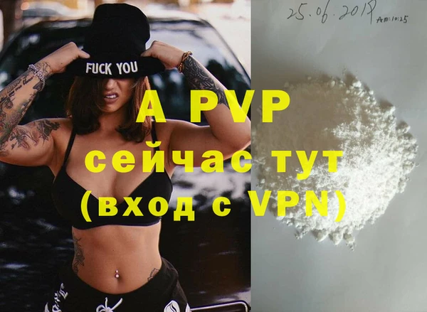 мдпв Рославль