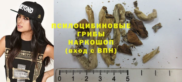 индика Армянск